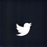 Twitter icon